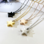 316L Stainless Steel Cremation Keepsake Star Pendant Necklace